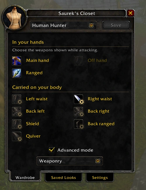 Weapon appearance and placement controls